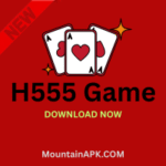 H555 Game