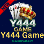 Y444 Game